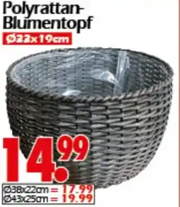 Wreesmann Polyrattan Blumentopf Angebot