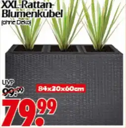 Wreesmann XXL-Rattan Blumenkübel Angebot