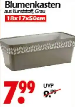 Wreesmann Blumenkasten Angebot