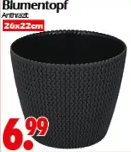 Wreesmann Blumentopf Angebot