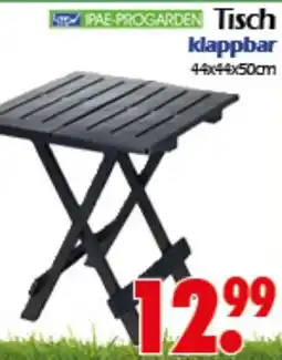 Wreesmann Tisch klappbar Angebot