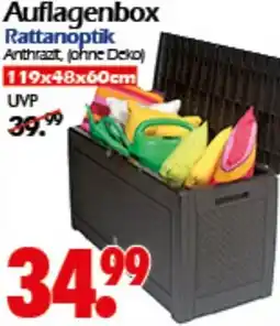 Wreesmann Auflagenbox Angebot