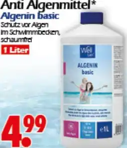 Wreesmann Anti Algenmittel Angebot