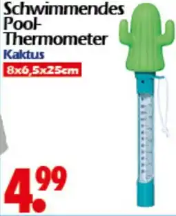 Wreesmann Schwimmendes Pool- Thermometer Kaktus Angebot