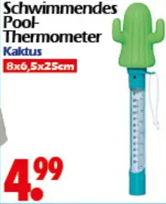 Wreesmann Schwimmendes Pool- Thermometer Kaktus Angebot
