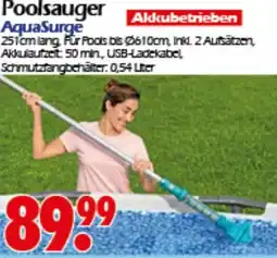Wreesmann Bestway Poolsauger Angebot