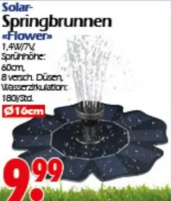 Wreesmann Solar- Springbrunnen Angebot
