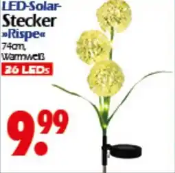 Wreesmann LED-Solar Stecker Rispe Angebot