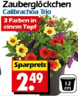 Wreesmann Zauberglöckchen Angebot