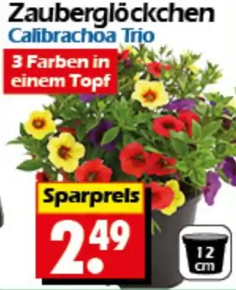 Wreesmann Zauberglöckchen Angebot