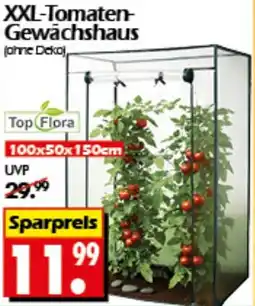 Wreesmann XXL-Tomaten- Gewächshaus Top Flora Angebot
