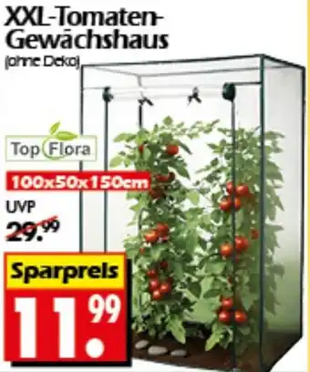 Wreesmann XXL-Tomaten- Gewächshaus Top Flora Angebot