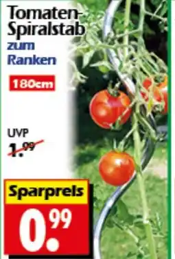 Wreesmann Tomaten Spiralstab Angebot