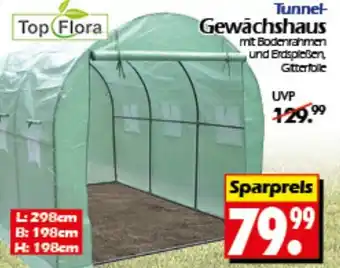 Wreesmann Top Flora Tunnet Gewächshaus Angebot
