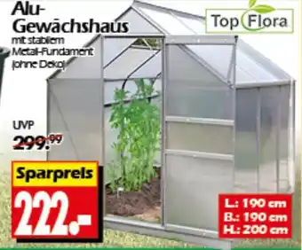 Wreesmann Top Flora Alu- Gewächshaus Angebot
