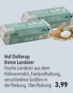 CITTI Markt Hof Dollerup Deine Landeier Angebot