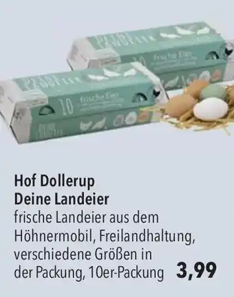 CITTI Markt Hof Dollerup Deine Landeier Angebot