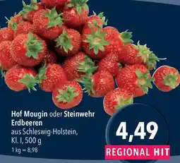 CITTI Markt Hof Mougin oder Steinwehr Erdbeeren Angebot