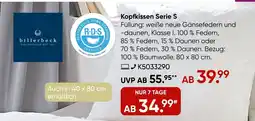 Galeria Kopfkissen Serie S billerbeck Angebot