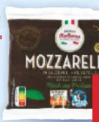 Netto Marken-Discount Mondo Italiano Mozzarella Kugel Angebot