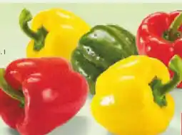Netto Marken-Discount MarktTag Paprika-Mix Angebot