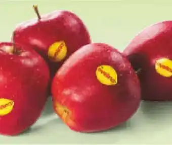 Netto Marken-Discount Äpfel Evelina Angebot