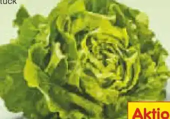 Netto Marken-Discount Kopfsalat Angebot