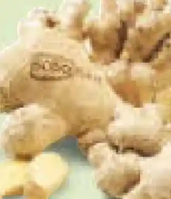 Netto Marken-Discount BioBio Bio-Ingwer Angebot
