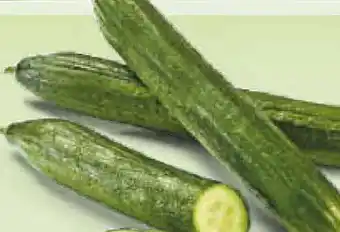 Netto Marken-Discount BioBio Bio-Gurke Angebot