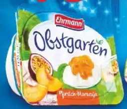 Netto Marken-Discount Ehrmann Obstgarten Original Pfirsich-Maracuja Angebot
