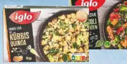 Netto Marken-Discount Iglo Veggie Love Kürbis Quinoa Angebot
