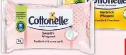 Netto Marken-Discount Cottonelle Feuchtes Toilettenpapier Angebot
