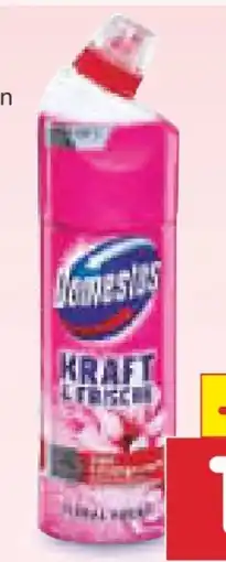 Netto Marken-Discount Domestos WC Gel Kraft & Frische Angebot