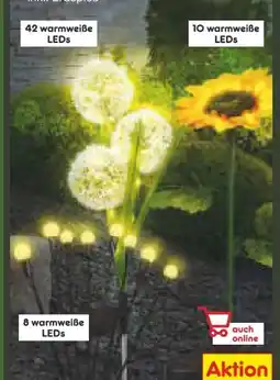 Netto Marken-Discount Living Garden Solar LED Dekoration Angebot