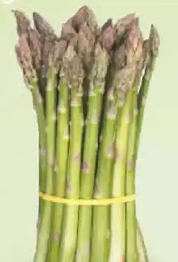 Netto Marken-Discount MarktTag Spargel Grün Angebot