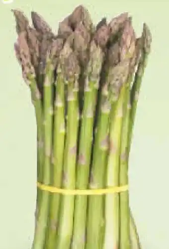 Netto Marken-Discount MarktTag Spargel Grün Angebot