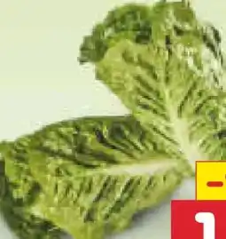 Netto Marken-Discount BioBio Bio-Mini-Romanasalat Angebot