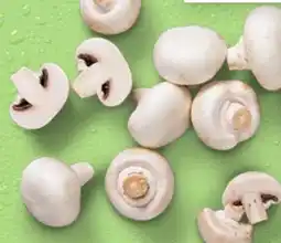 Kaufland Kulturchampignons Angebot