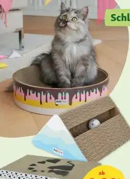 Fressnapf AniOne Katzen Kratzpappen Angebot