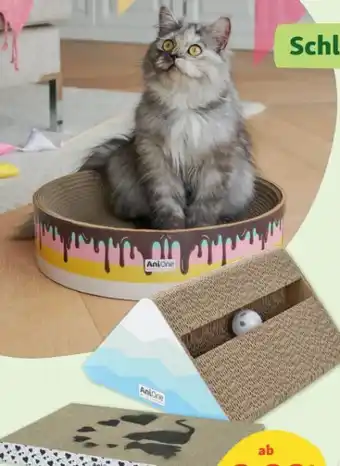 Fressnapf AniOne Katzen Kratzpappen Angebot