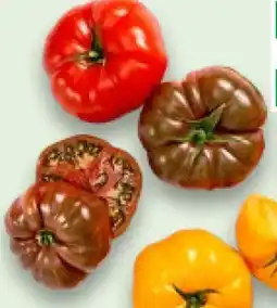 Kaufland Fleischtomaten Angebot