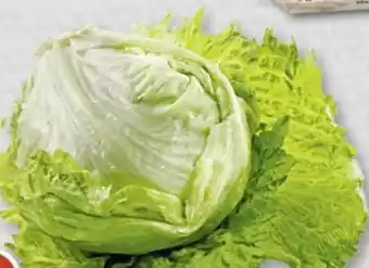 Edeka Edeka Mein Land Eisbergsalat Angebot