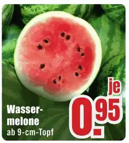 B1 Discount Baumarkt Wassermelone Angebot