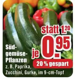 B1 Discount Baumarkt Süd- gemüse- Pflanzen Angebot