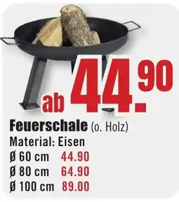 B1 Discount Baumarkt Feuerschale (o. Holz) Angebot