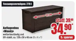 B1 Discount Baumarkt Auflagenbox "Woody" Angebot