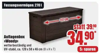 B1 Discount Baumarkt Auflagenbox "Woody" Angebot