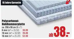B1 Discount Baumarkt Polycarbonat- Hohlkammerplatte Angebot