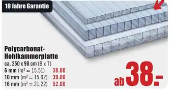 B1 Discount Baumarkt Polycarbonat- Hohlkammerplatte Angebot