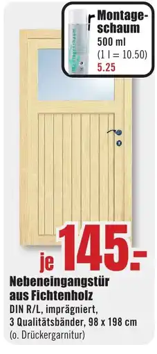 B1 Discount Baumarkt Nebeneingangstür aus Fichtenholz Angebot